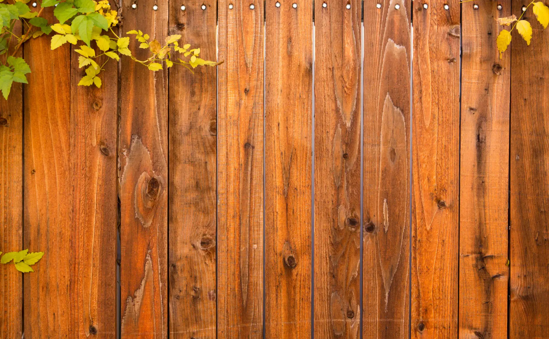 wood fence texture